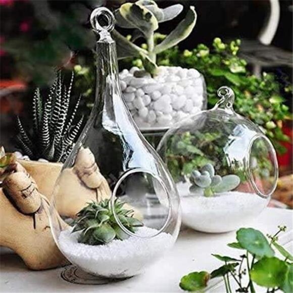 Mkono 2 Pack Glass Hanging Planter Air Fern Holder Terrarium Plants Hanger Vase - Picture 6 of 8